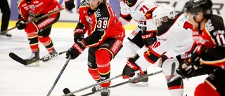 Luleå Hockey-back lånas ut till allsvensk klubb