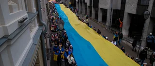 Litauen samlade in 150 miljoner åt Ukraina