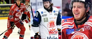 Sporten rankar de 50 bästa spelarna under VIK:s säsonger i Hockeyallsvenskan – här är plats 50-41 • Spelade bara två matcher • Bildade klassisk kedja