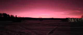 Läsarbilden                   