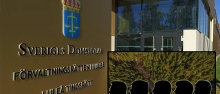 Jaktprofilen omhäktad