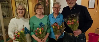 Vis och allsångskväll med PRO Hemseorten