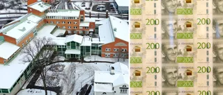 Kan Motala verkligen motivera konsultkostnaden? 