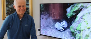 Segertåget fortsätter för Västerviksfilmaren