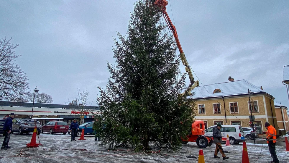 På onsdagsförmiddagen restes granen på Stora torget i Malmköping varefter julgransgruppen i ortens byaråd inledde arbetet med att sätta upp belysningen.