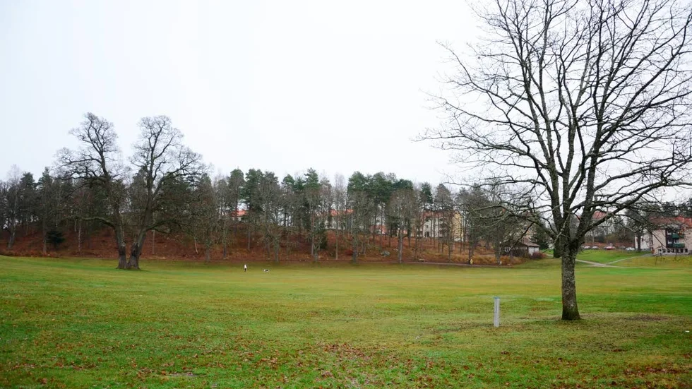 Förslag. Flera förslag om Vibjörnsparken har kommit in till kommunen. Utomhuskägelbana, grillplats och skatepark är några av dem.