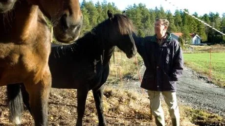 - Hästarna är installerade, så nu väntar vi bara på att deras ägare ska flytta hit under nästa år, säger Curt Andersson som äger Tväggestad gård på Vikbolandet, dit ett antal familjer med hästar som fritidsintresse ska flytta ut. Bland annat till huset som byggs i bakgrunden.                                                            Foto: Anita Kjellberg
