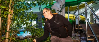 Kackerlackorna ska bort – levande växter byts ut mot plast • Äventyrsbadet kan stängas tillfälligt