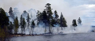 Skogsbrand efter sjöröjning