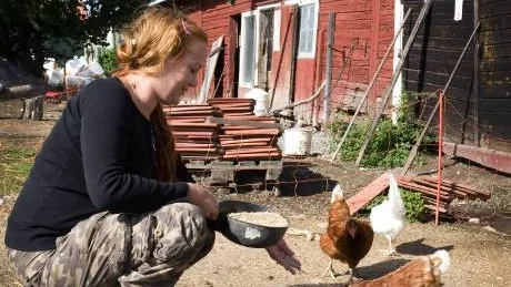 Höns, ankor, påfåglar, kalkoner och gäss är några av de djur som Jenny Hoberg visar upp på Valla Hantverksgård under ÖstgötaDagarna.