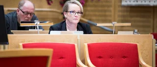 Statsvetaren om maktspelet: "Farlig väg att ta"