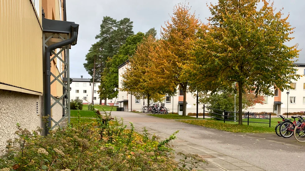 Under torsdagskvällen larmades polis till adressen.