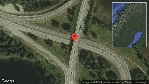 Älg på vägen på E4