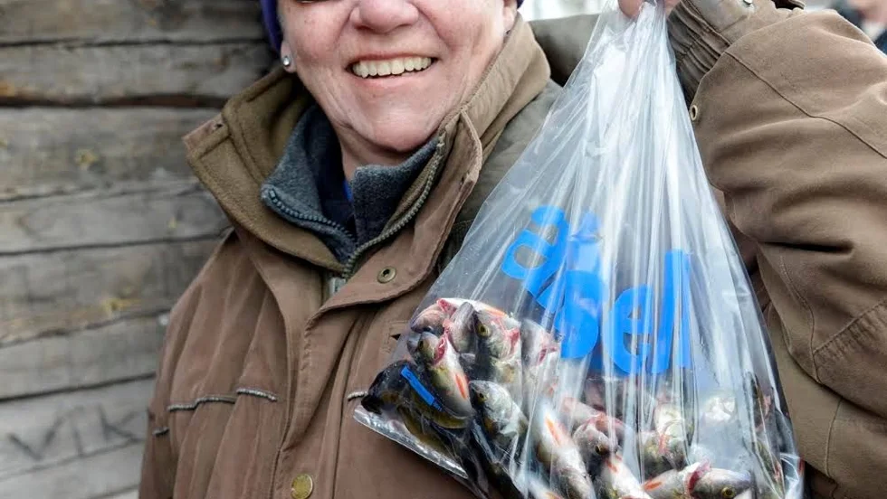 Eva Forsell från Älvsbyn är en rutinerad tävlingsfiskare och kom till invägningen med en rejäl påse abborre.