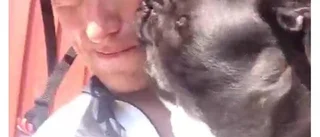 Vine – videosnuttande i den sociala sfären