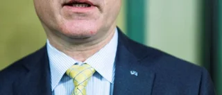 Småborgerlig kris