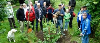 Ny Krokeksek vid Ödekyrkan