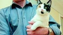 Håkan Lindkvist och hans arbetskamrater fick en liten kontorskatt att ta hand om i går. Numera finns katten - som troligen är en hona - på Fiahemmet i Norrköping.
Foto: Titti Olovsson (0122-131 75)
titti.olovsson@folkbladet.se