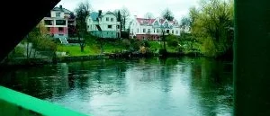 Medborgarförslag måste vårdas ömt