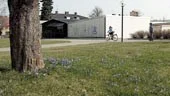 Kommunstyrelsen vill att kommunens del av marken på platsen framför Mariagården ska säljas till den tyska lågpriskedjan Lidl.
FOTO: TITTI OLOVSSON