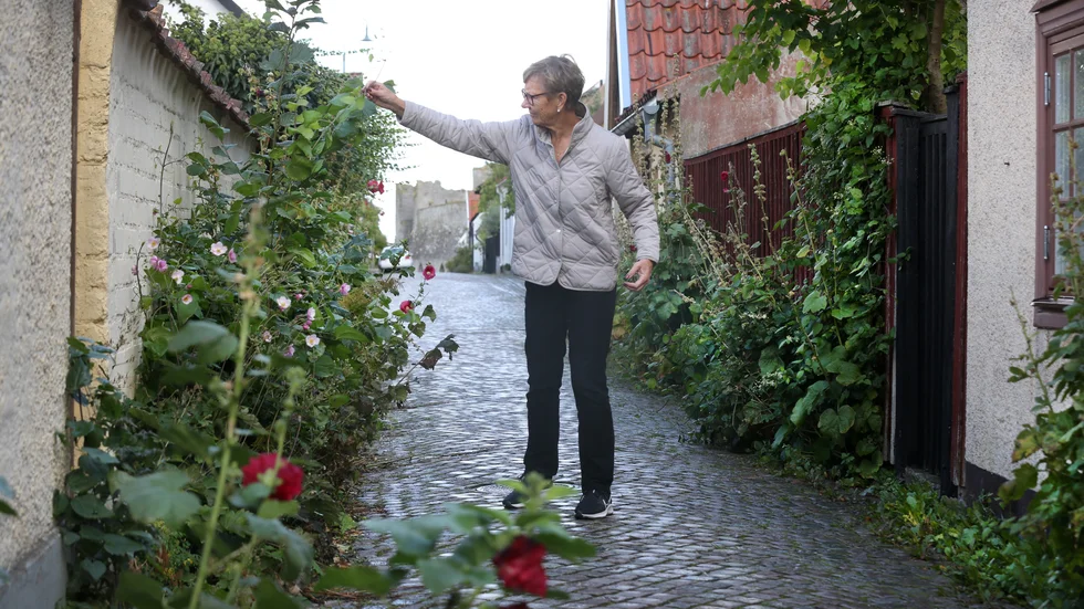 Visby innerstadsförenings ordförande Agneta Emmervall uppmanar fastighetsägarna att rensa ogräs, träd och buskar som nu växer ut i gatan på många ställen.