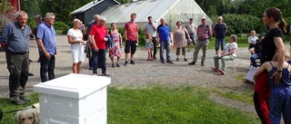 Norrbottens biodlare på sommarträff