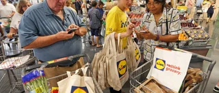Lidl har inte gett upp Piteå