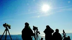 Foto: ANDERS STEINER I tidig morgonstund är fågelskådarna uppe med solen och skådar efter vårens flyttfåglar.