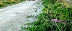 Strömlöst i södra kommunen