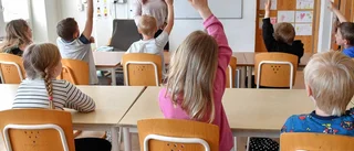 Vinster och skolval splittrar partierna