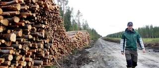 Skogsnäring och riksdag måste ta klimatet på allvar