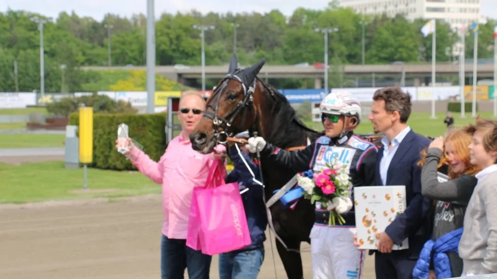5-årige Älvsbyägda stjärnan Makethemark tillhör favoriterna i gulddivisionen på Solänget, lördag. Tränaren Petri Salmela, skötaren Anne Raatakainen och kusken Ulf Ohlsson jagar tredje raka segern.