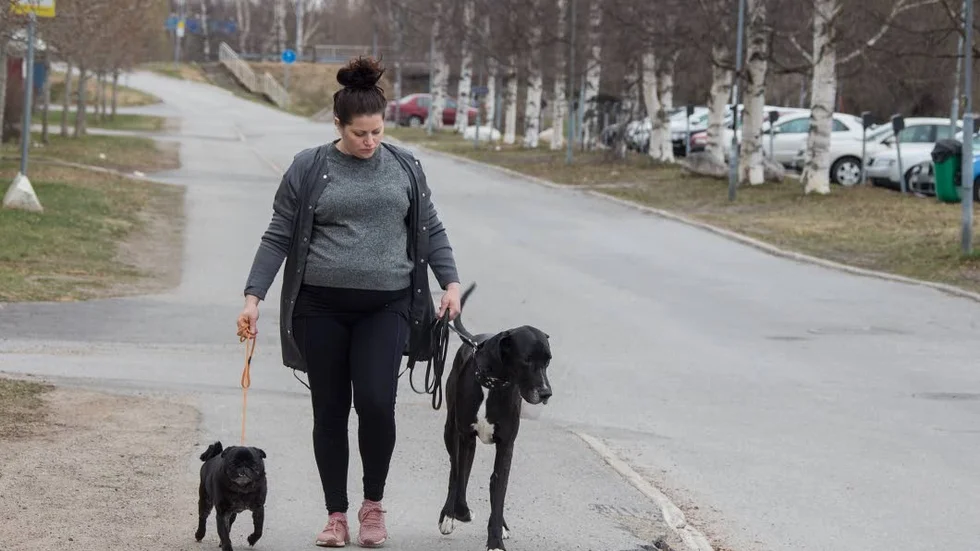 Arrangörerna ser helst att deltagarna undviker flexikoppel.