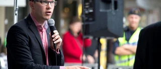 Sverigedemokraterna – och allt hyckleriet