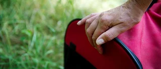 Veterinär missade valp i magen