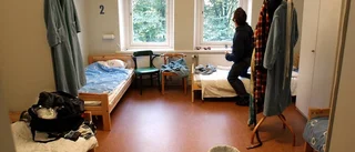 Luleås natthärbärge gick med vinst