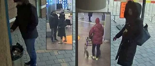 Fängelse och utvisning för åldringsstölder