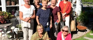 Trädgårdsvandring i solskenet       