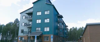 Pitebo vill satsa på större nybyggen: "Allt utgår från centrum"