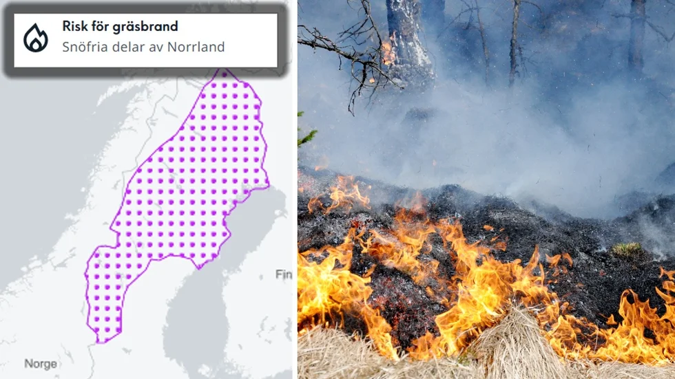 På eftermiddagarna är risken för gräsbrand som störst. (Arkivbild)
