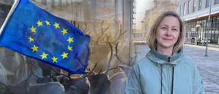 Samer är mer missnöjda än andra med EU – färre röstar i valet