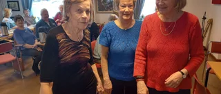 PRO Skurholmens medlemsmöte med paltlunch