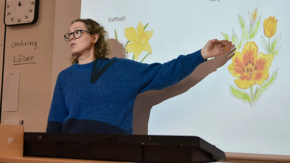 "Skolvalet gör att elevantalet fördelas på ett ojämnt sätt mellan skolorna. Det är ett svårt läge och det fattar vi också", säger Karolina Claesson, lärare på Egebyskolan. 