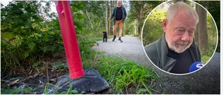 Bajsvatten – mitt bland barn och hundar: "Det är kriminellt"