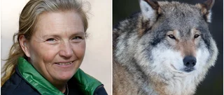 Vargen hotar den biologiska mångfalden