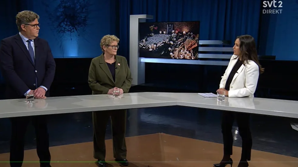 Gunnar Strömmer, Karin Wanngård och programledaren Katja Elliott på plats i Agendas studio på söndagskvällen. Folkbladets Widar Andersson fick flashbacks från en gammal sång av gruppen Grotesco. 