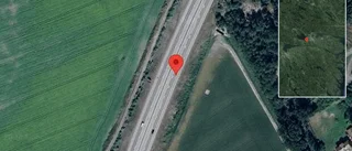 Vilt på vägen kan skapa fara på E4
