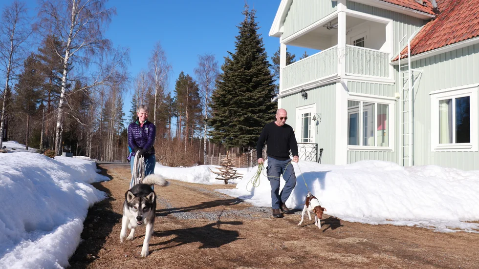 Gills och Petes hundar Gus och Olaf lever också ett stimulerande liv i Kalvträsk.