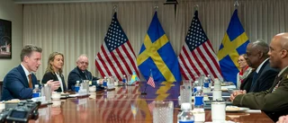 Endast Sverige tycks ha svalt DCA-avtalet oläst 
