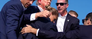 Trump skjuten i örat – två döda på valmöte